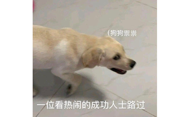 狗狗祟祟一位看热闹的成功人士路过