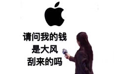 采访APPLE苹果：请问我的钱是大风刮来的吗 - 近期斗图表情包精选-2018/9/13