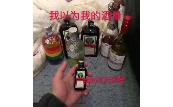 我以为我的酒量vs 我的实际酒量