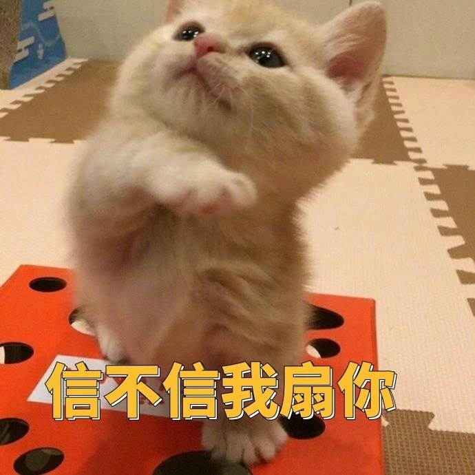 信不信我扇你 - 一只小橘猫的表情包