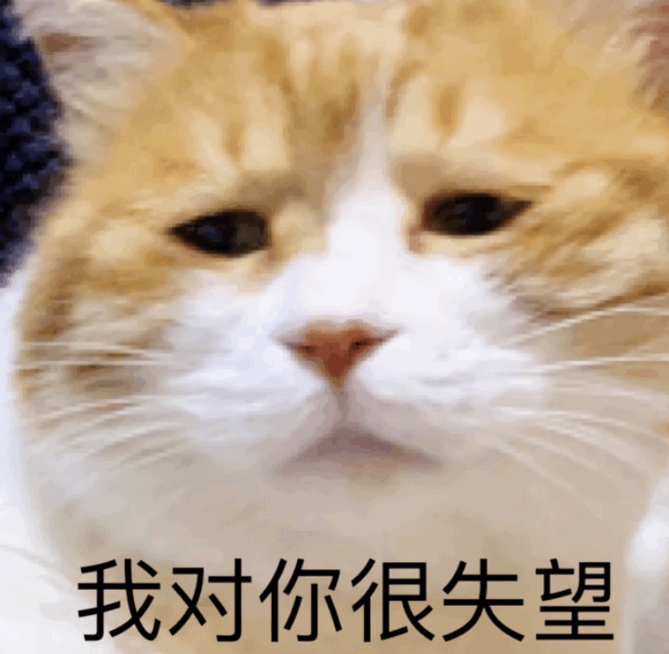 我对你很失望 - 一组橘猫表情包