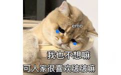 emo 我也不想嘛可人家很喜欢啵啵嘛(猫猫表情包)