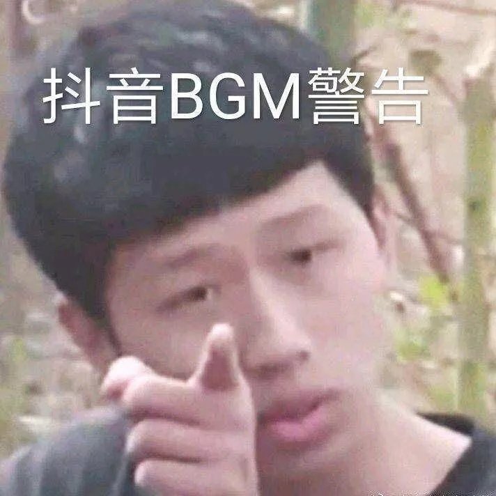 抖音BGM警告(王境泽)