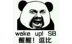 醒醒！逗比（wake up, SB）