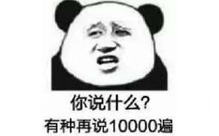 你说什么?有种再说10000遍