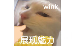 wink展现魅力 - 奇怪的猫猫表情包增加了