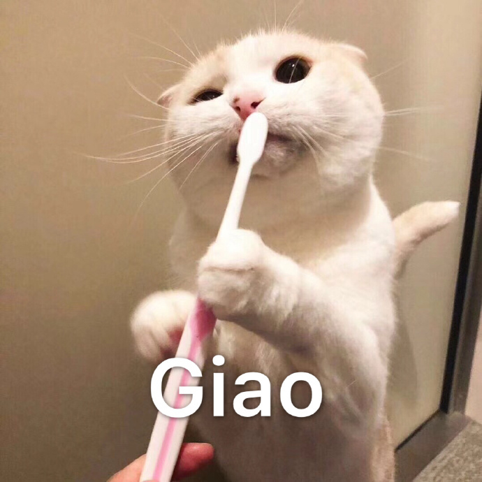 Giao（猫咪刷牙）