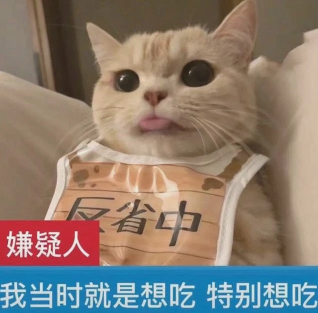 嫌疑人省中我当时就是想吃特别想吃(猫猫表情包)