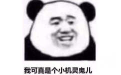 我可真是个小机灵鬼儿