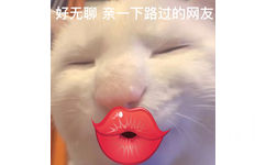 好无聊亲一下路过的网友 - 奇怪的猫猫表情包增加了