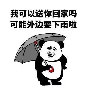 我可以送你回家吗？可能外边要下雨啦！ - 熊猫人装逼表情