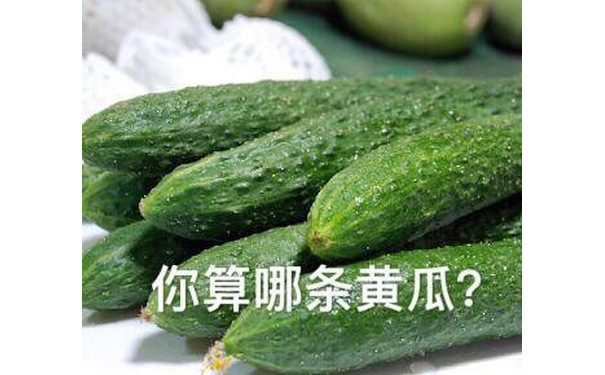 你算哪条黄瓜？ - 你算个什么东西？