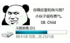 你确定要和我斗图?小伙子很有勇气SB. Child斗图表情(D:)88.4GB可用,共232GB