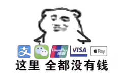 支VISA Pa 这里全都没有钱