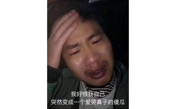 我好恨我自己突然变成一个爱哭鼻子的傻瓜