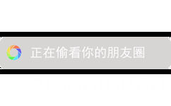 正在偷看你的朋友圈 - 恶搞微信系统提示表情包 ​