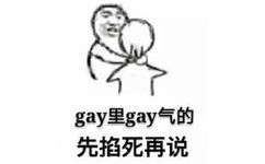 gay里 gay气的先掐死再说 - 热门表情图合辑 2016-1-2—发表情