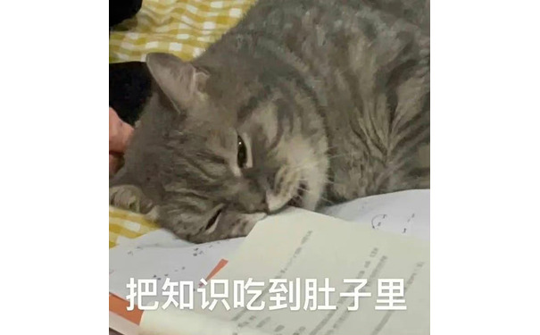 把知识吃到肚子里