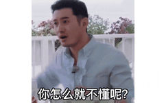 你怎么就不懂呢？（黄晓明动图表情包）