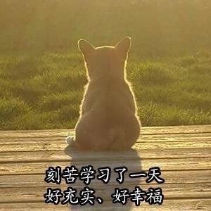 刻苦学习了一天，好充实、好幸福 - 做个爱学习的 doge