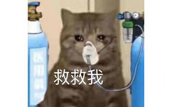 救救我(猫猫吸氧表情包)