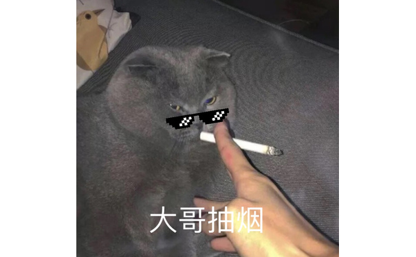 大哥抽烟（猫猫表情包）