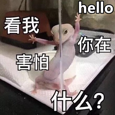 hello 看我你在害怕什么?