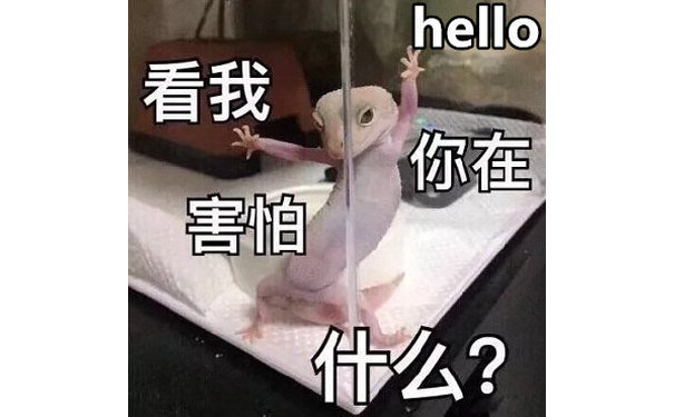 hello 看我你在害怕什么?