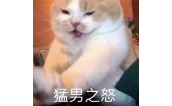 猛男之怒怒(猫咪表情包)