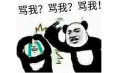 骂我？骂我？骂我？ - 你打不着我！（熊猫人打人表情）