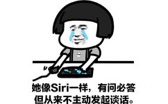 她像 siri 一样，有问必答但从来不主动发起谈话