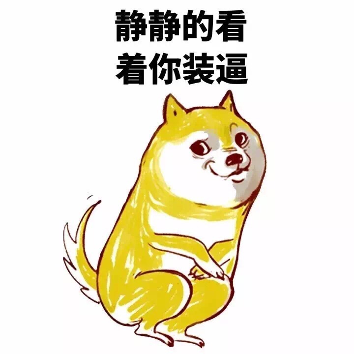 静静的看着你装逼 - 妈的智障，doge 表情包