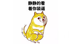 静静的看着你装逼 - 妈的智障，doge 表情包