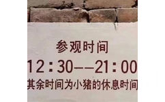 参观时间12:30--21:00其余时间为小猪的休息时间(朋友圈背景图)