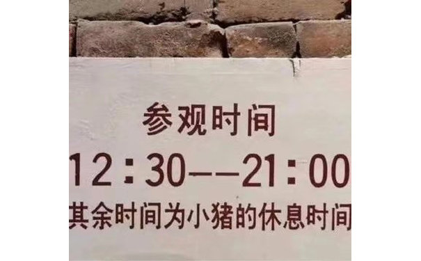 参观时间12:30--21:00其余时间为小猪的休息时间(朋友圈背景图)