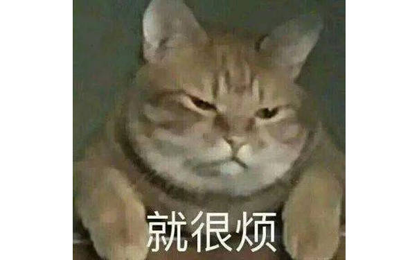 就很烦(猫咪表情包)