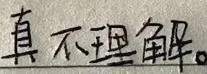 真不理解 - 手写字体文字表情包 ​