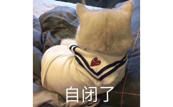 自闭了（猫咪）