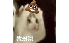 我投翔