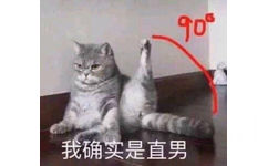 90我确实是直男(猫猫表情包)