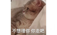 不想理你你走吧