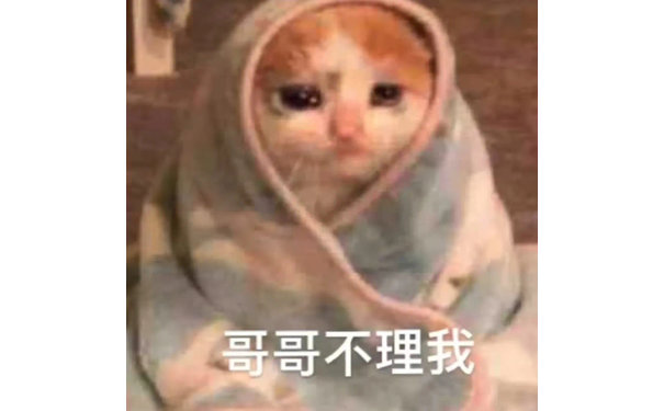 哥哥不理我(伤心猫猫头表情包)