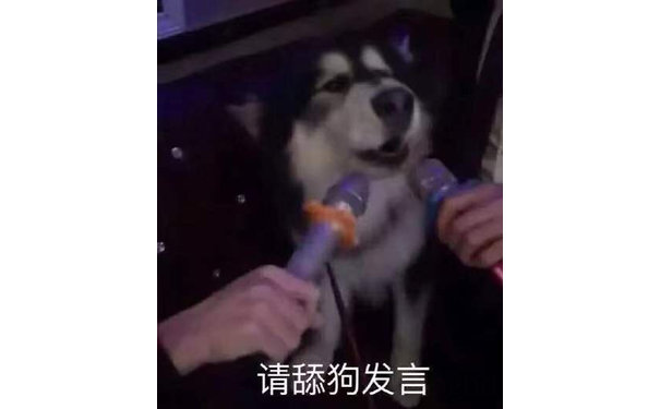 请舔狗发言