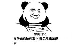 舔狗日记：在放弃你这件事上 我总是出尔反尔