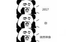 2017你依然单身 - 伤心2017， 不想听不想看！！ ​