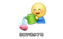 你脑子进水了吧 - 阴阳怪气的表情包