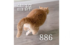 告辞886（橘猫表情包）