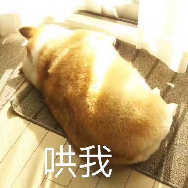 哄我（doge）