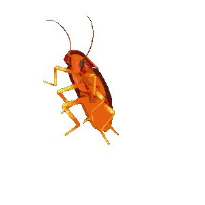 彩色小蟑螂跳舞表情包