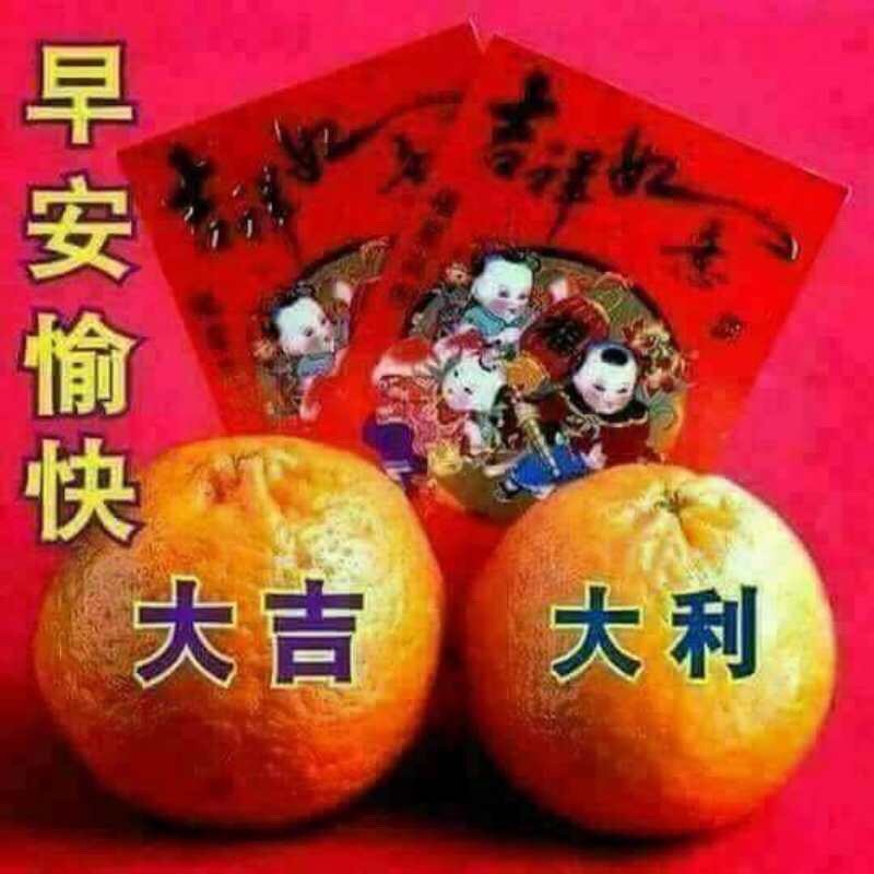 早安愉快大吉大利 - 中老年人早安问候表情包